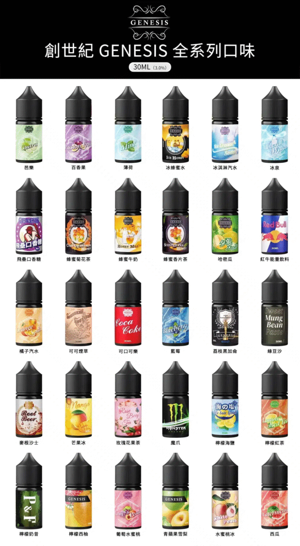 GENESIS GS DER 小油 油品