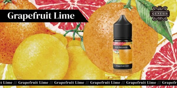 GENESIS GS DER 小油 油品