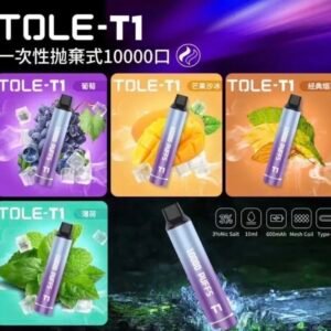 T1 萬口一次性主機 T1 萬口一次性主機 拋棄式電子煙 10000口續航 TOLE 一次性 電子菸 主機 加熱煙 拋棄式 霧理系官網 電子煙專賣店 批發