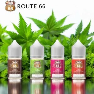 LINE_NOTE_250906_1 美國66公路 小菸油 小油 主機 拋棄式 煙彈 一次性