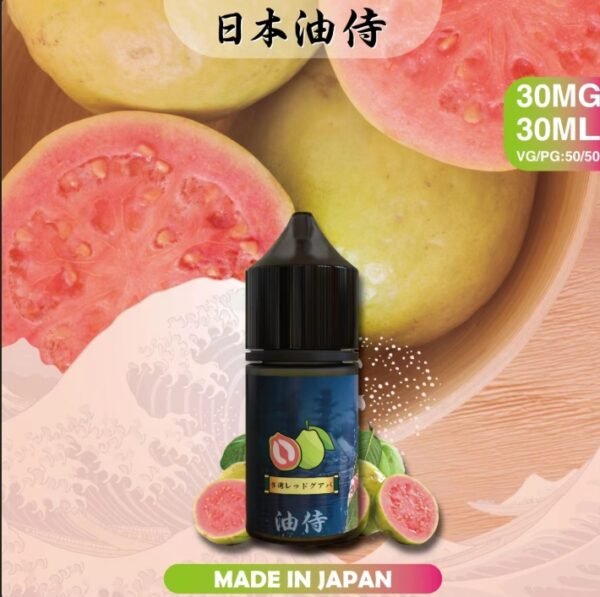 日本油侍 小菸油 油品 DER 拋棄式 煙彈 加熱菸