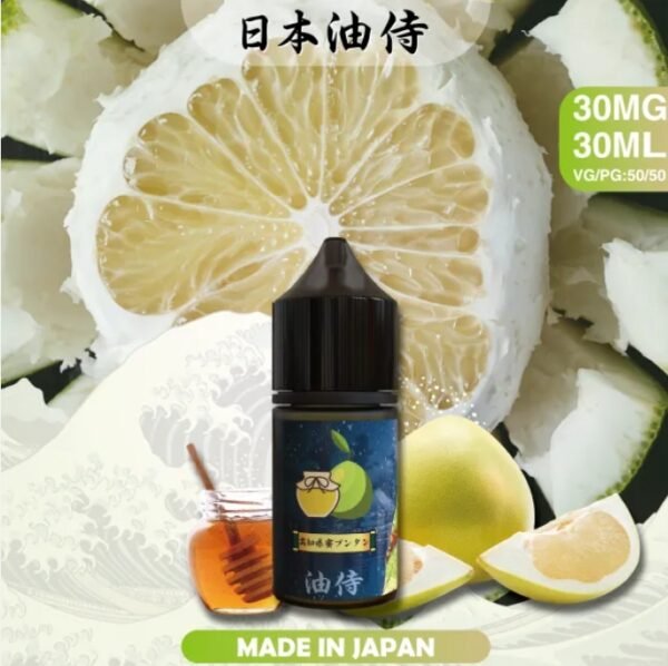 日本油侍 小菸油 油品 DER 拋棄式 煙彈 加熱菸